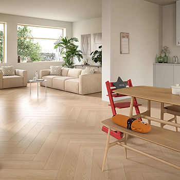 Hrast Baronia  El2133 Hb