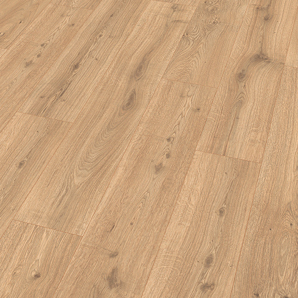 Hrast Predaia Nat El2428