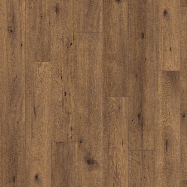 Black Sea Oak