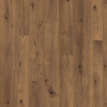 Black Sea Oak