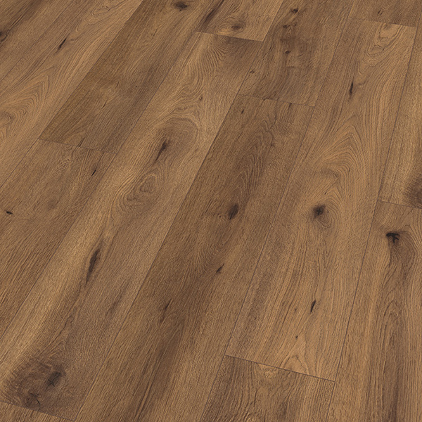 Black Sea Oak