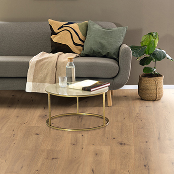Oak Carpatian