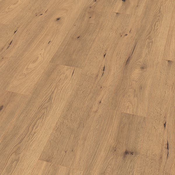 Oak Carpatian