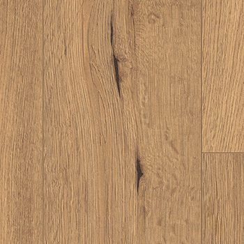 Oak Carpatian