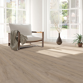 Sand Oak