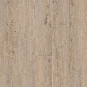 Sand Oak