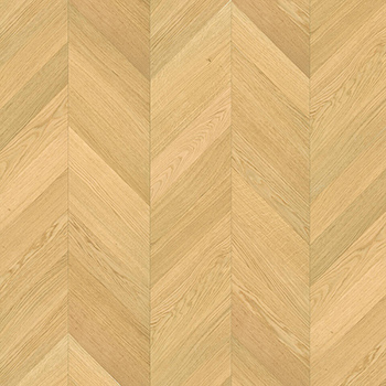 Oak White