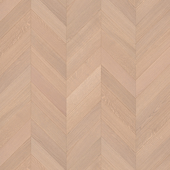 Oak Royal Grey