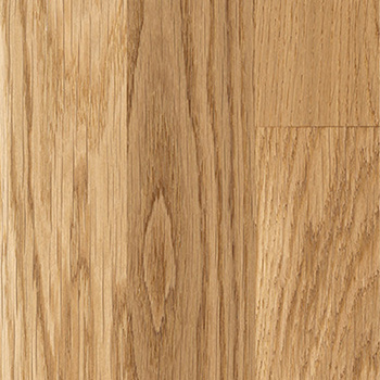 Samba Oak Elegant