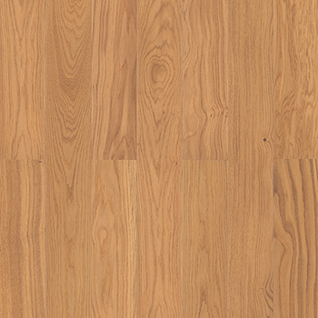 Oak Honey XL 1000