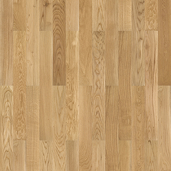 Oak Premium 1000