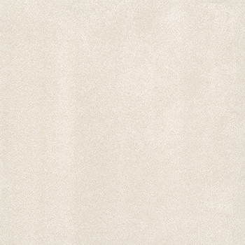 00290
