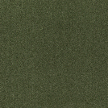 Grassland